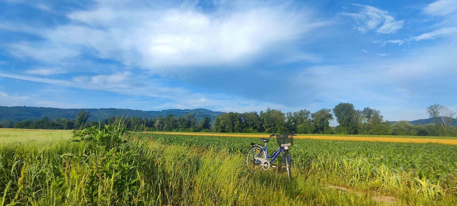 Bicicletta nel prato con vista sulle colline