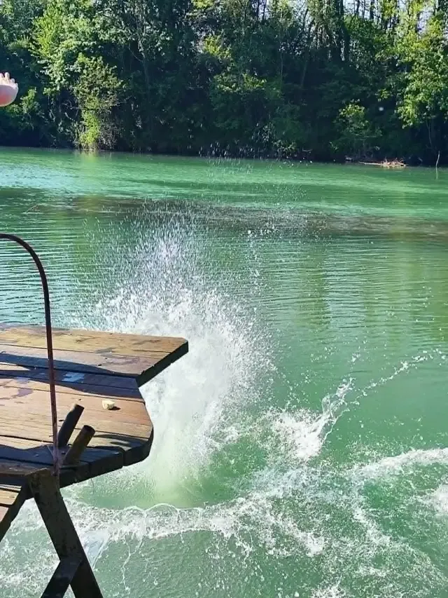Zasebna plaža na Krki, voda in narava